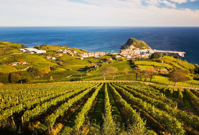 西班牙美酒种类非常丰富,从葡萄酒,烈酒,起泡酒到利口酒,水果酒,几乎